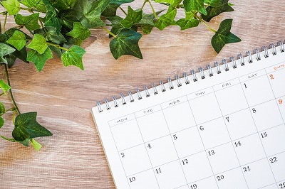 簡単セルフヘッドスパの仕方